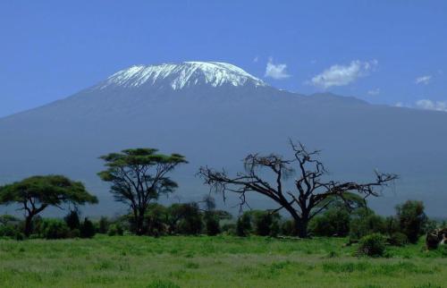 Mount-Kilimanjaro-Ngomi-Adventures1-Copy